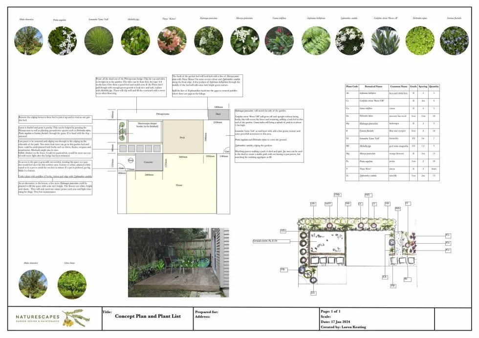 Auckland-Garden-And-Landscape-Plan-980x692-1.webp