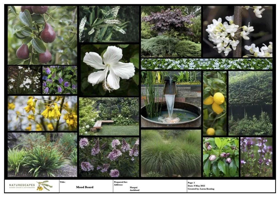 Garden-Concept-Design-Services-Auckland-980x692-1.webp