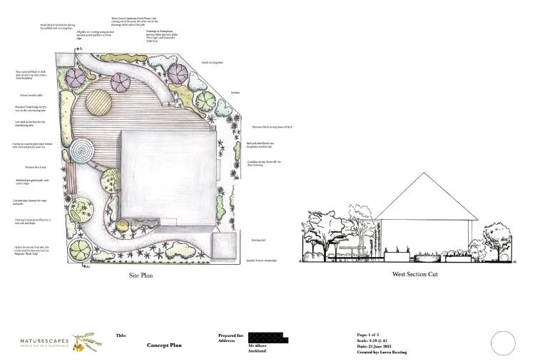 GARDEN & LANDSCAPE DESIGN AUCKLAND